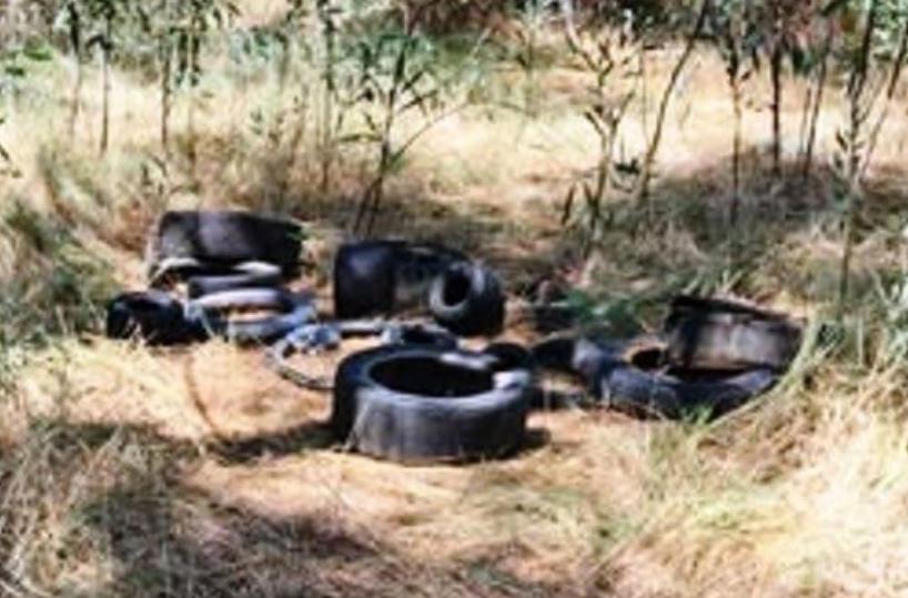 Manfredonia, lotta agli sporcaccioni con le fototrappole: scattano le prime sanzioni