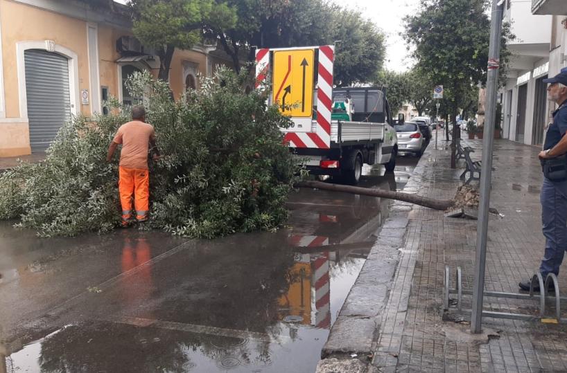Nubifragio e tromba d’aria improvvisa nel Salento: caduti alberi a Nardò, alcune zone al buio