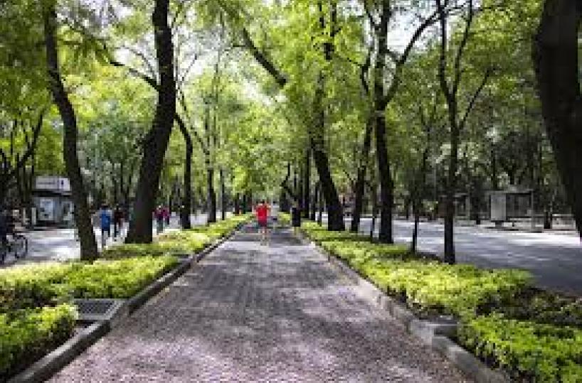 Con le città più verdi criminalità in crisi