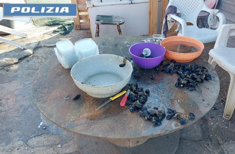 Taranto, sorpreso a sgusciare 40 chili di cozze in piazza sotto al sole: denunciato