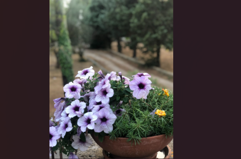 Il rientro può essere un nuovo inizio