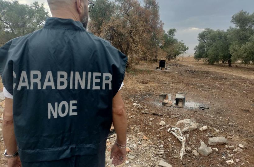 Sannicandro di Bari, bruciavano rifiuti pericolosi in un uliveto: arrestati