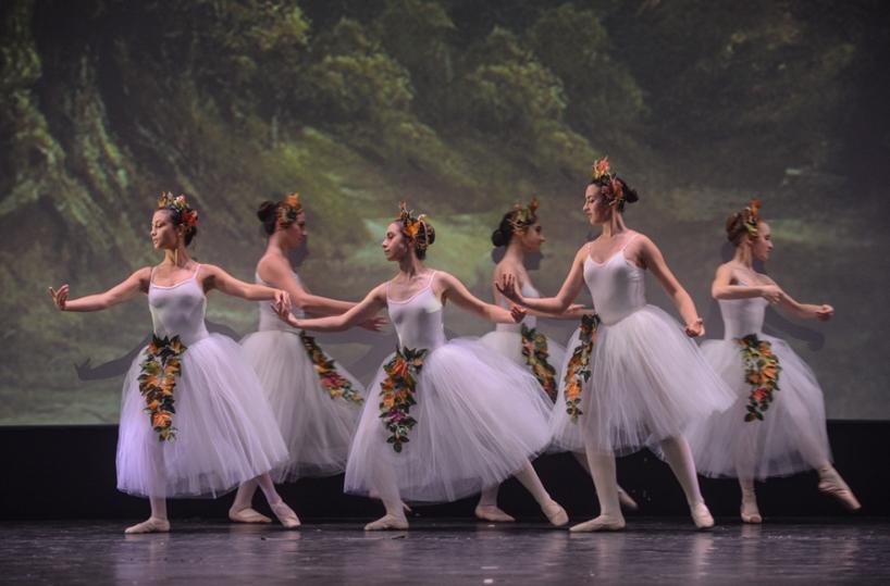 La Puglia celebra la danza: cinque giorni di stage e laboratori gratuiti a Toritto
