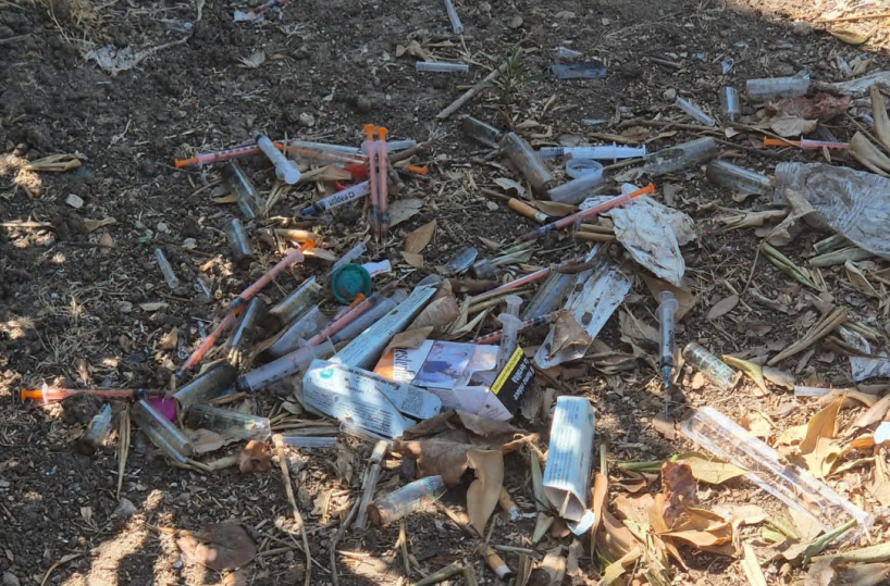 Madonnella, area-cani di fronte a Pane e Pomodoro nel degrado: l’allarme dei cittadini