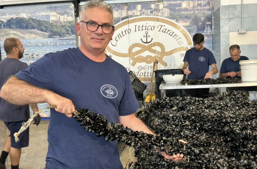 Crollo delle vendite di cozze a Taranto, l'ira dei mitilicoltori: «Basta con la cattiva pubblicità»