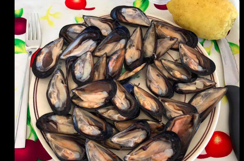 Le cozze, Magistà e le bugie che hanno fatto la storia