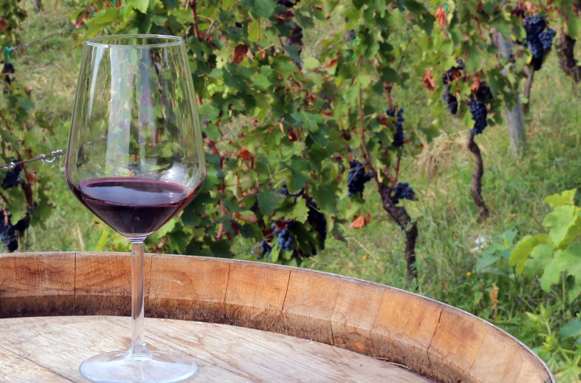 L’area del Vulture designata nel 2026 come «città del vino»