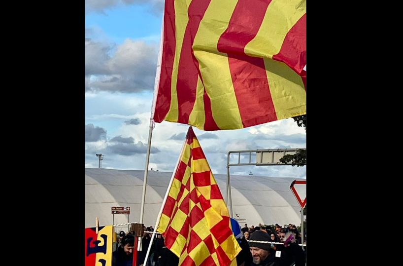 Lecce, per lo Stadio stretta su alcol e sicurezza: arriva l’ordinanza del sindaco Poli Bortone