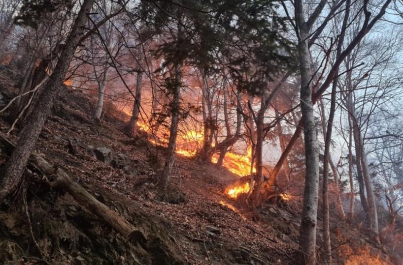 Puglia, non si ferma l'emergenza incendi: anche a settembre record di roghi