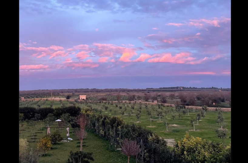 Salento, no alla «colonia» israeliana: naufraga tra polemiche e querele il progetto turistico della Coral 37 di Tel Aviv