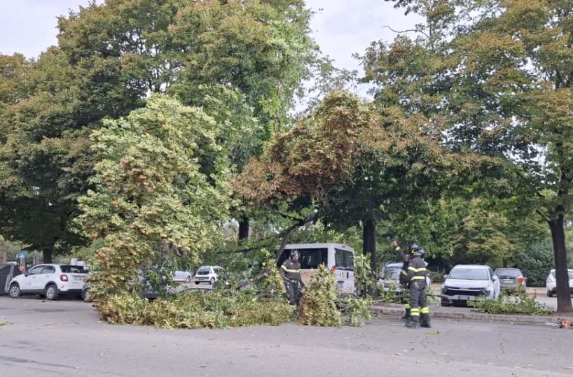Bari, chiusi parchi cittadini e cimiteri a causa del forte vento