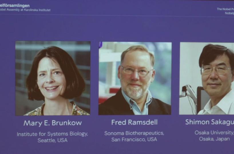 Premio Nobel 2025, «rivolta sociale»: individuata e resa potenzialmente domabile 