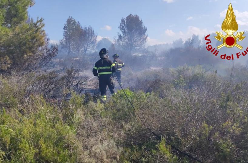 San Cataldo, scoppia l'incendio tra le sterpaglie: situazione critica per il vento