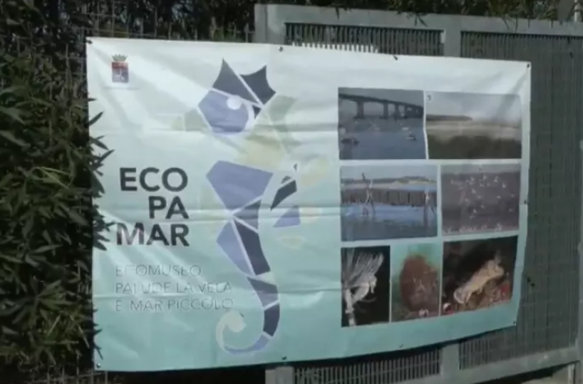 Taranto, dopo 8 anni riapre al pubblico l'oasi naturale La Vela: sarà gestita dal Wwf