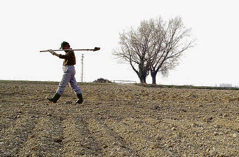 Agricoltori pugliesi, dall’emancipazione alla «fanteria di piazza»