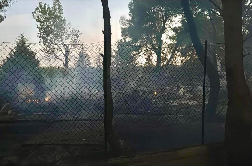 Palagiano, incendio distrugge la pineta di Pino di Lenne: a fuoco ettari di vegetazione, anche pini secolari