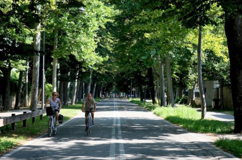 Sostenibilità, nel report di Legambiente «Ecosistema Urbano» Lecce migliore di Puglia, 53esima. Foggia fanalino di coda, 91esima