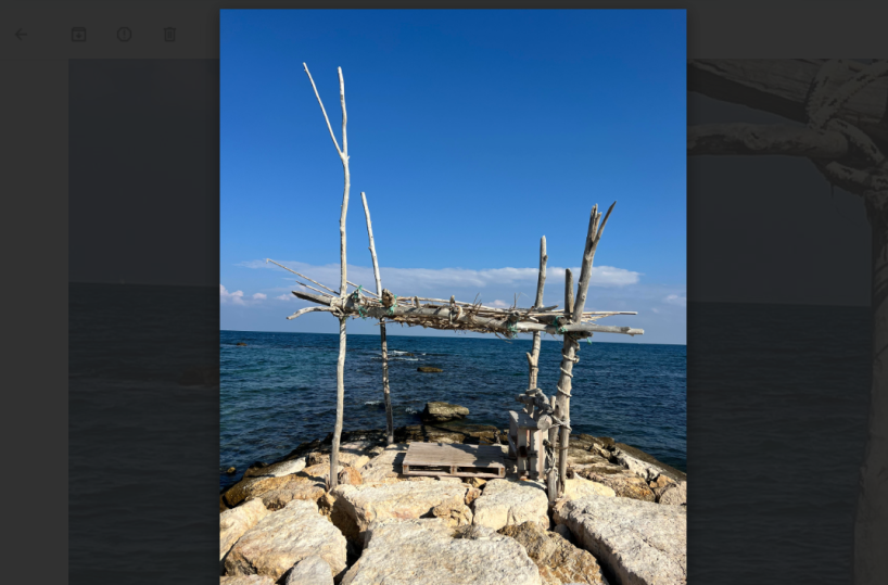 La foto del giorno del 1 novembre 2025