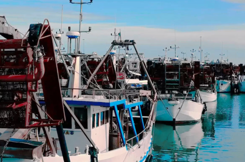 Turismo, pesca e nautica: nel Barese i porti puntano a crescere