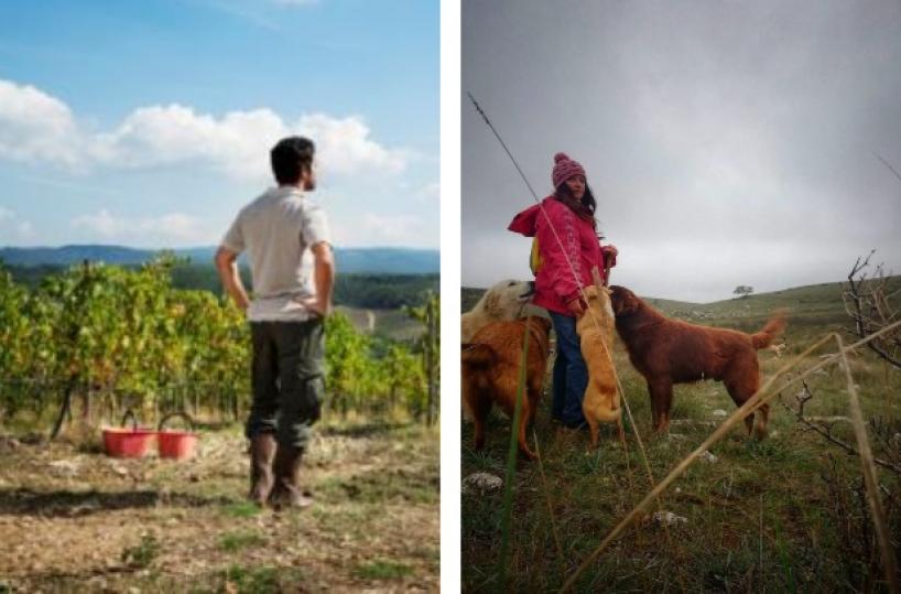 I giovani pugliesi tornano alla terra: ecco il ricambio generazionale