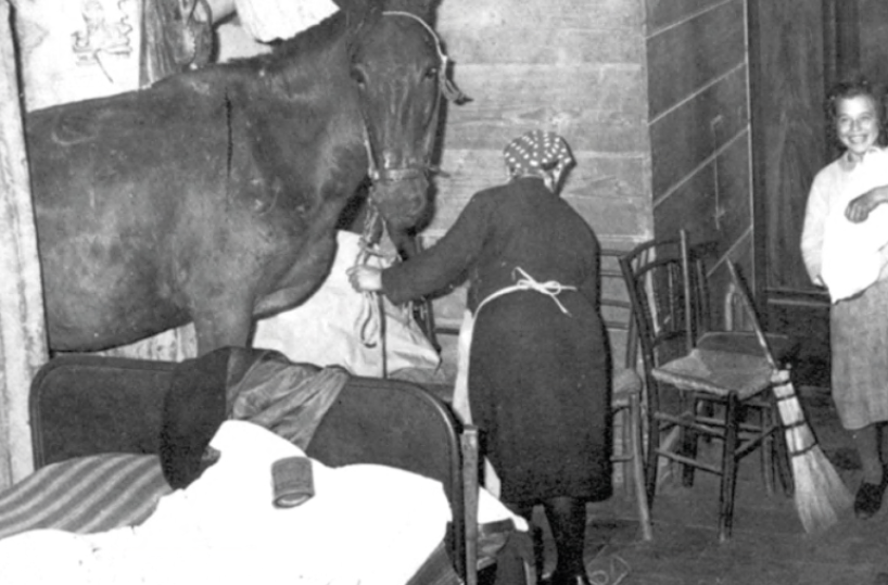 «In quel precipizio è Matera». Il racconto dei Sassi