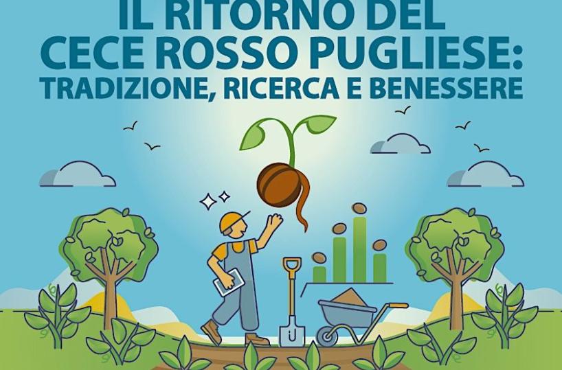 Il cece rosso pugliese torna in campo: convegno a Ostuni