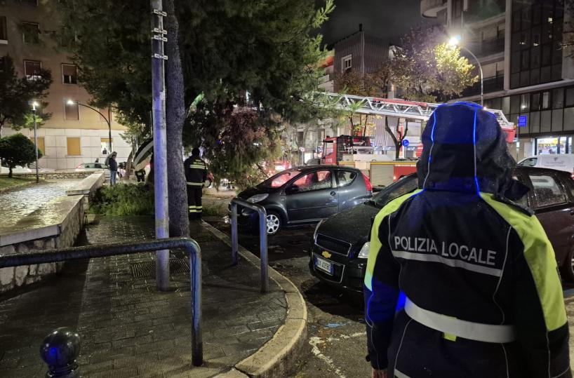 Foggia, grosso ramo cade su un’auto in piazza San Francesco