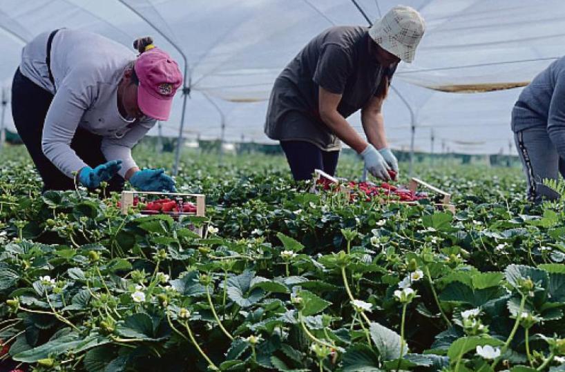 Basilicata, esportazioni in ripresa: exploit verso Usa e Turchia