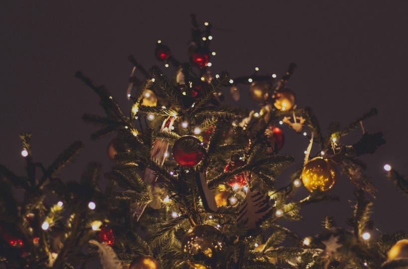 Celle San Vito, i volti dei bimbi decorano l’albero di Natale del borgo più piccolo della Puglia
