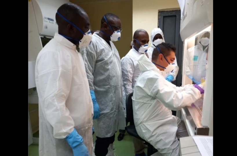 Allarme sanitario, fino ai casi di Chikungunya: la Puglia resiste