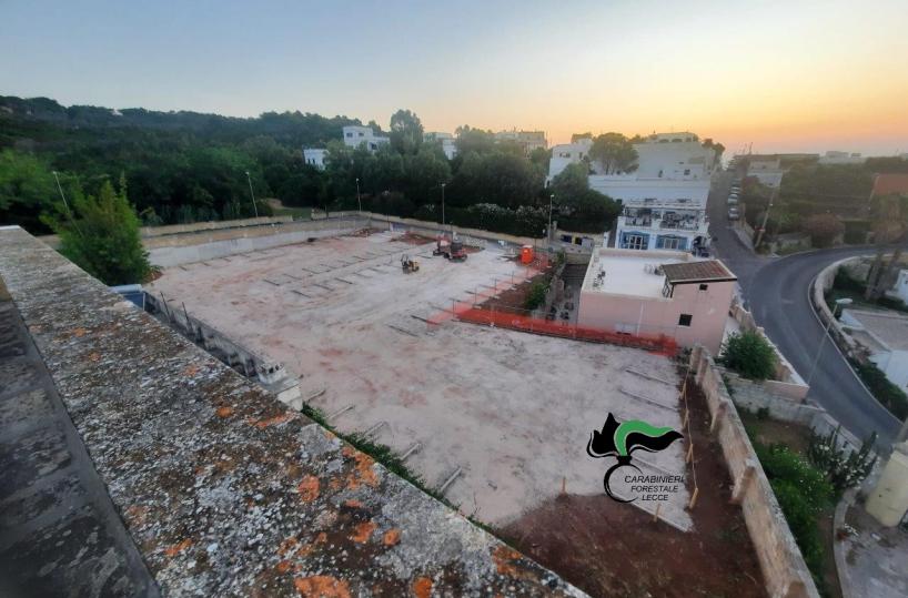 Tricase, realizzano un parcheggio abusivo in area vincolata estirpando gli alberi: 4 denunce