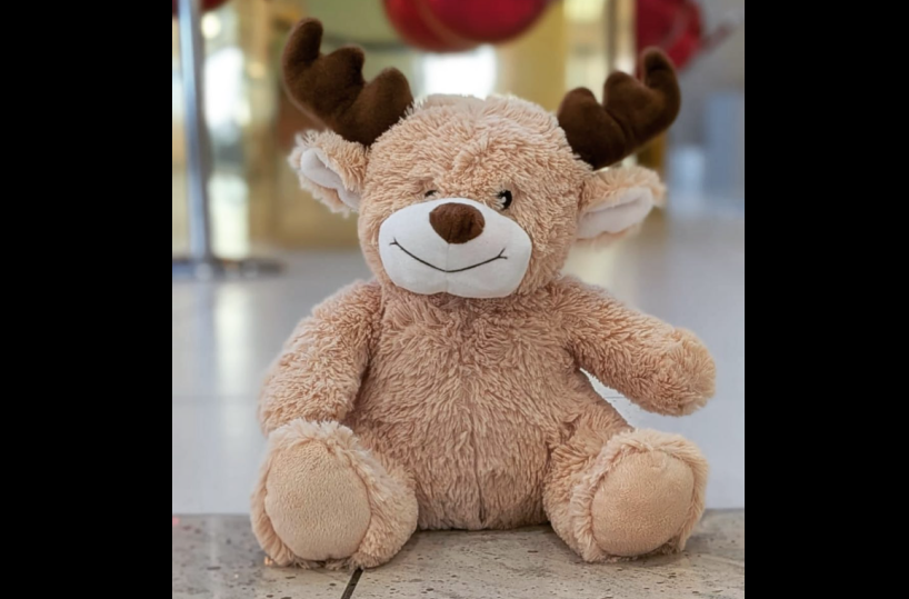 Bari, al "Karol Wojtyla" un peluche siede sotto l'albero di Natale: «Aiutateci a farlo tornare a casa»