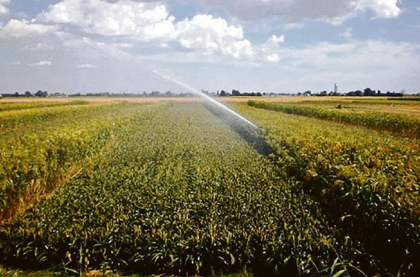 Cartelle su agricoltori soli: l’insostenibile sistema dei consorzi di bonifica
