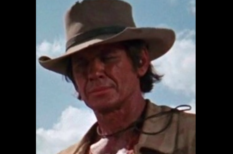 A Natale ritroviamo la lentezza tanto Armonica alla fine arriva