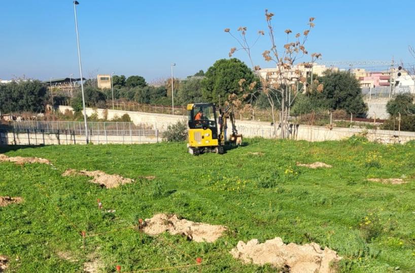 A Monopoli decine di alberi per realizzare il Giardino dei nuovi nati nel 2025