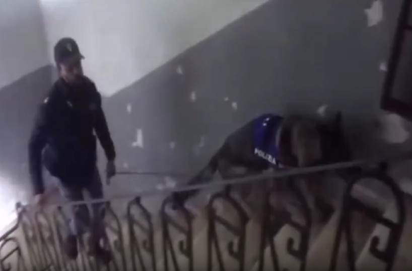 Bari, Nicola Vasienti ucciso e impiccato nella sua casa al San Paolo: arrestati dopo 9 anni esecutori e mandanti