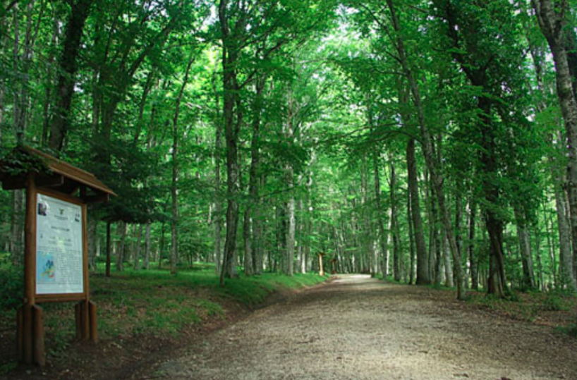 Il solstizio d&rsquo;inverno nella magia della natura