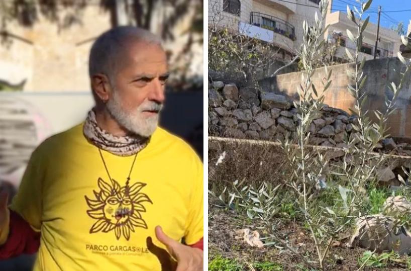 In Palestina piantato un ulivo a nome dell'ecologista barese Manlio Epifania: &laquo;Per chi credeva nella libert&agrave;&raquo;