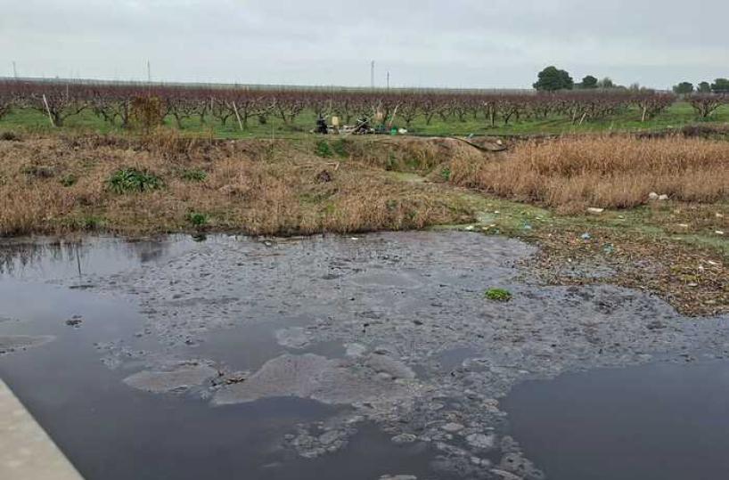 Liquami e rifiuti in un torrente tra Trinitapoli e Zapponeta: &laquo;Disastro ecologico&raquo;