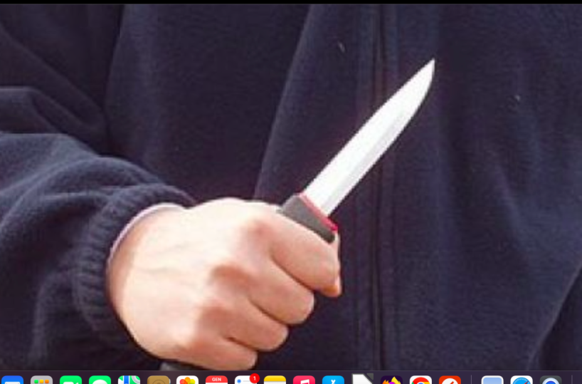 Anche i tornelli utili per estinguere la cultura delle lame nelle scuole