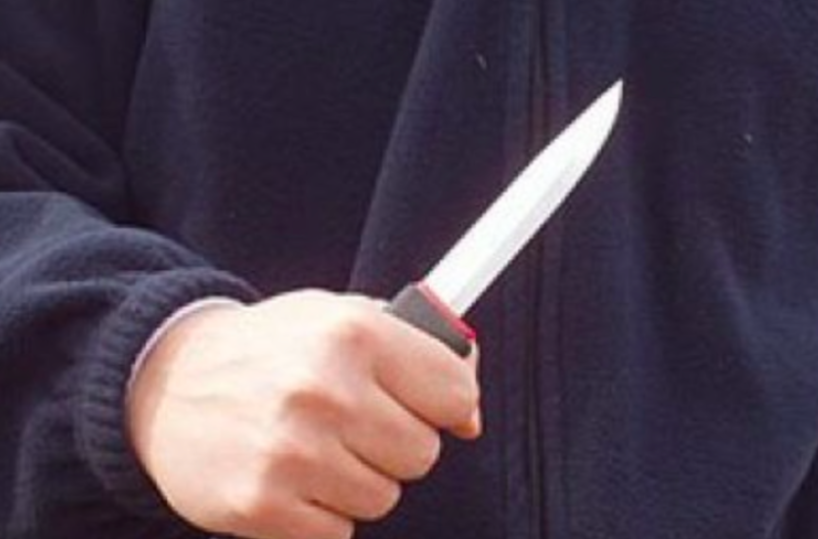 Anche i tornelli utili per estinguere la cultura delle lame nelle scuole