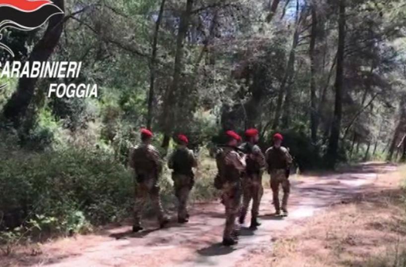 Mafia Garganica, la Dda chiede 42 condanne nel maxi processo Mari e Monti 