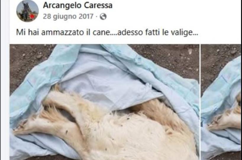 Taranto, l'istruttore del cane-eroe Bruno e quelle denunce sui social con altri animali uccisi: una nuova discrepanza