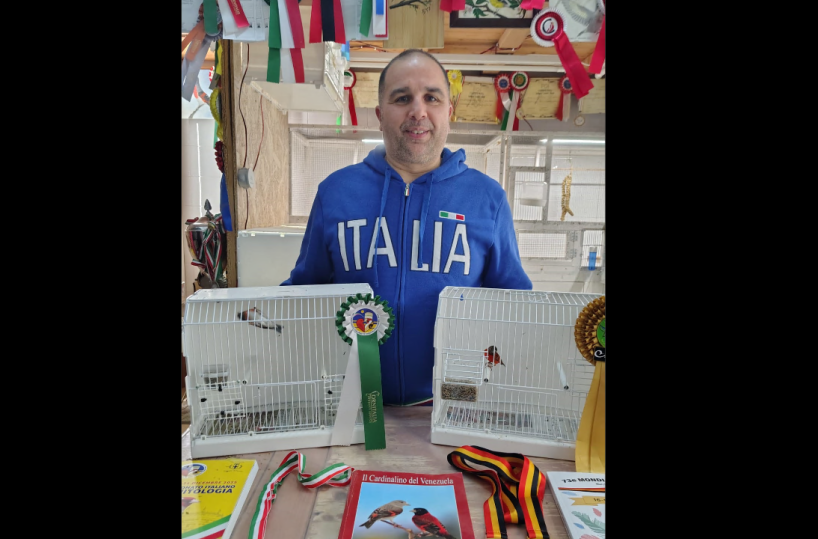 Da Castellaneta al Belgio &laquo;i miei fringuelli cardinalini piccoli campioni del mondo&raquo;