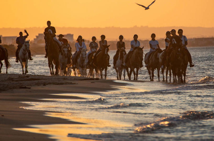 Sabbia brindisina, aria mediterranea: un viaggio nel Parco Naturale Regionale Dune Costiere 
