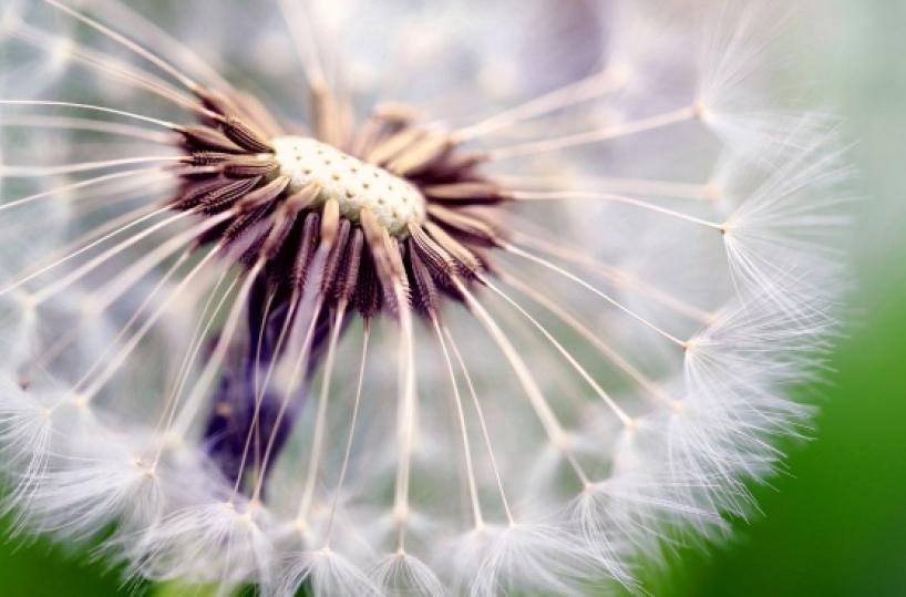 C&rsquo;&egrave; un sentiero all&rsquo;interno di ognuno di noi: si chiama desiderio