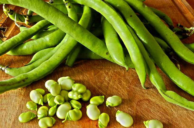 Benvenuta Primavera con i suoi mille sapori