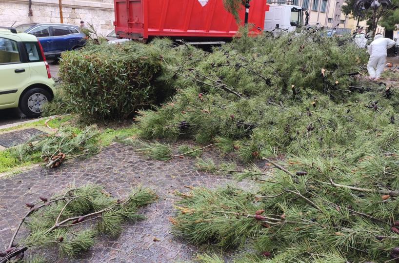 Maltempo, allagamenti e alberi caduti nel Foggiano. Esondato il torrente Lavella, non percorribile la provinciale 125