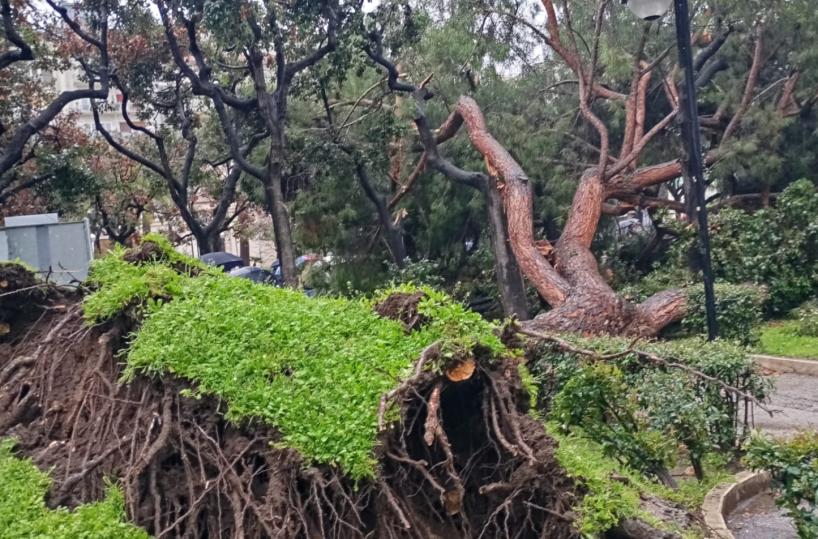 A Bari tregua dalla pioggia: riaprono i cimiteri a Bari ma continua monitoraggio sui parchi. Si va verso allerta gialla