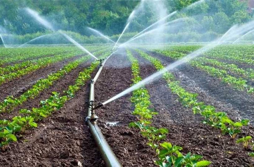 Acqua garantita per l&rsquo;estate: al via dal 15 aprile la stagione irrigua per il Consorzio di Capitanata e comuni della BAT